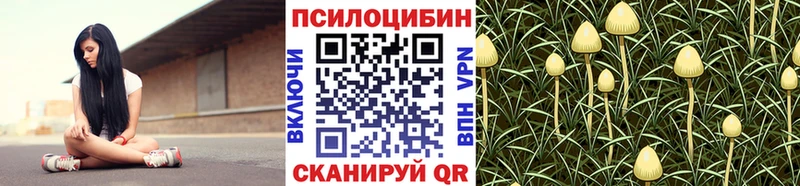 даркнет сайт  блэк спрут вход  Галлюциногенные грибы мухоморы  Данилов 